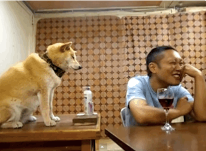 cuoi-rung-ron-voi-24-dieu-ky-quac-chi-co-o-nhat-ban